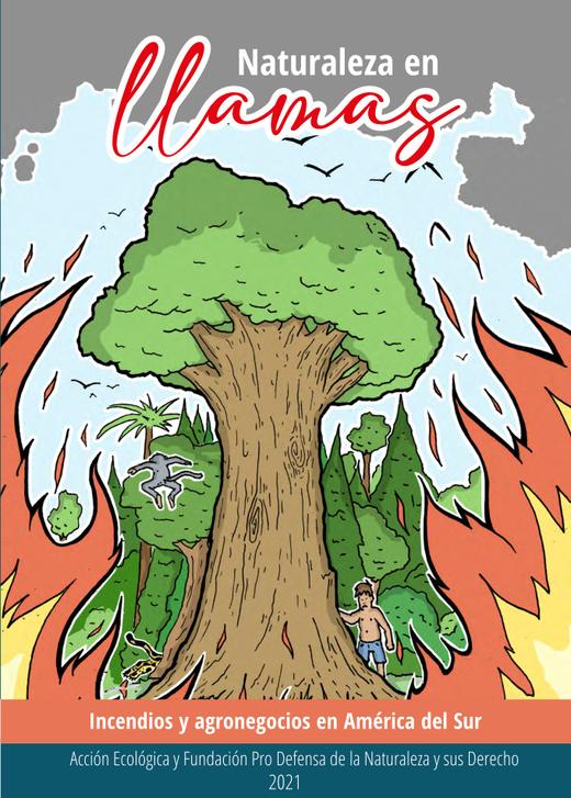 Portada de LIBRO NATURALEZA EN LLAMAS v3